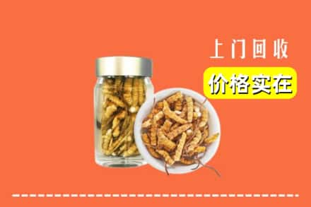 收购资讯:路北区回收散虫草