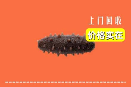 收购资讯:路北区回收海参