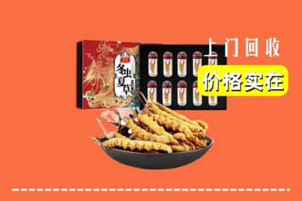 路北区回收虫草